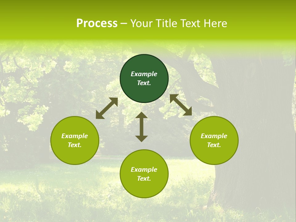 Summer Tree Bark PowerPoint Template
