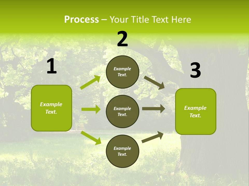 Summer Tree Bark PowerPoint Template
