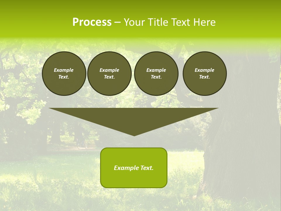 Summer Tree Bark PowerPoint Template