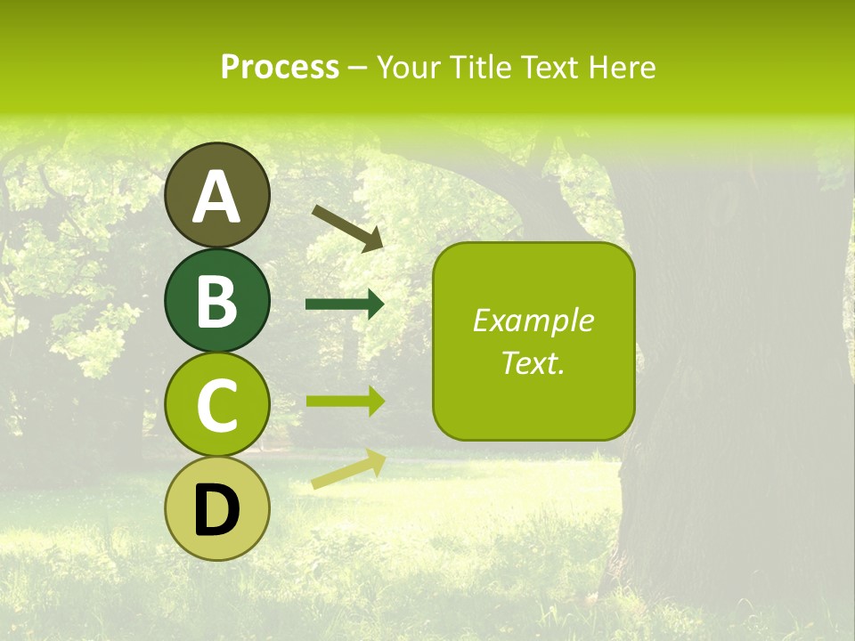 Summer Tree Bark PowerPoint Template