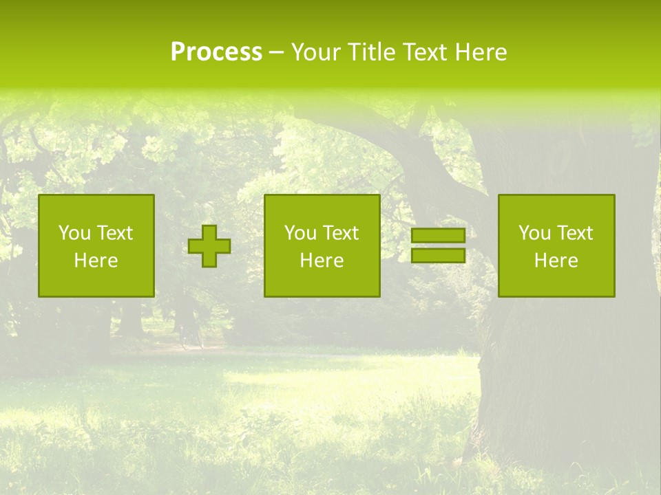 Summer Tree Bark PowerPoint Template
