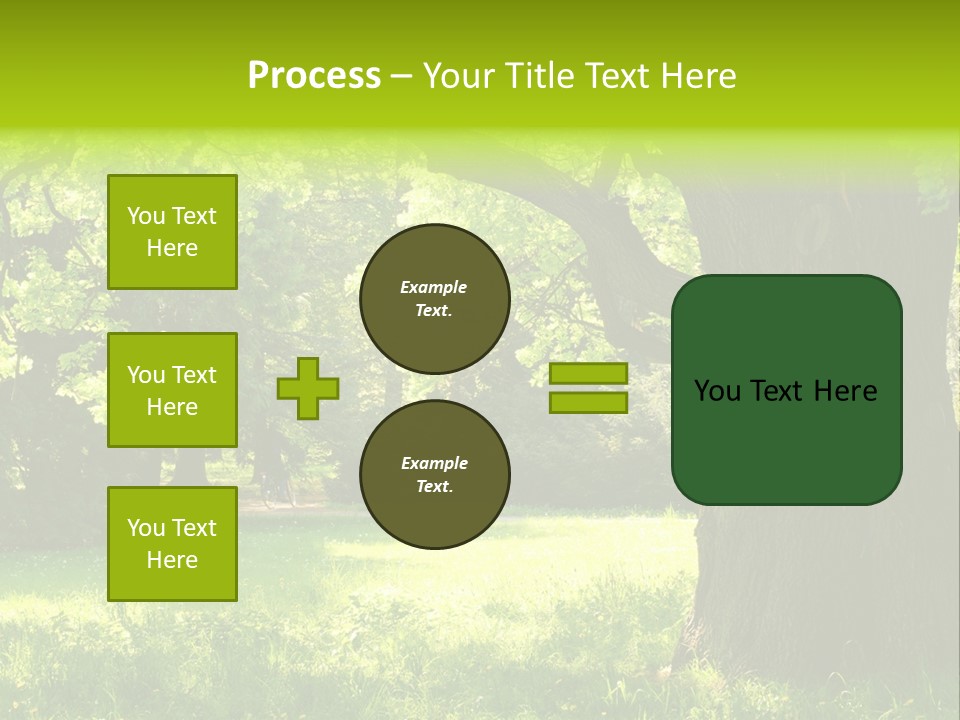 Summer Tree Bark PowerPoint Template