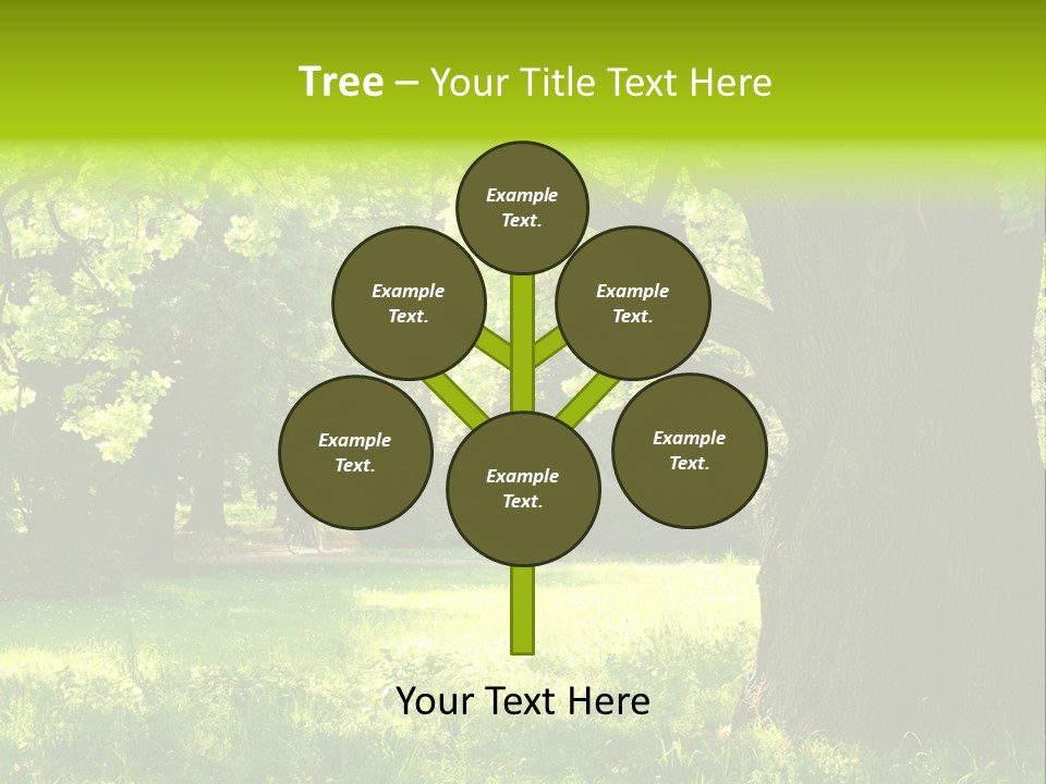 Summer Tree Bark PowerPoint Template