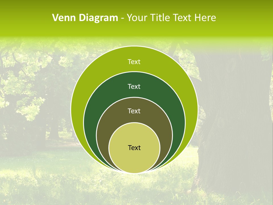 Summer Tree Bark PowerPoint Template