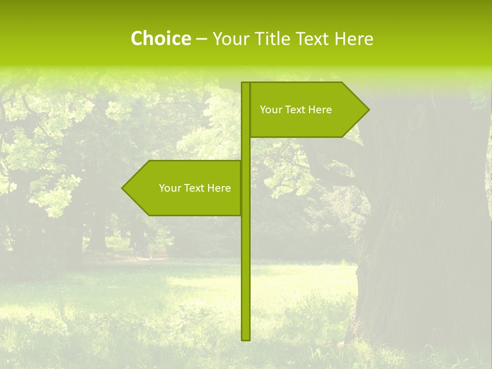 Summer Tree Bark PowerPoint Template