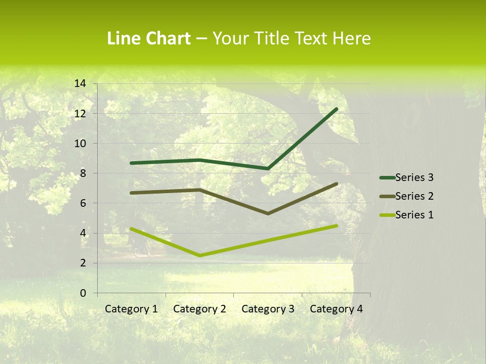 Summer Tree Bark PowerPoint Template