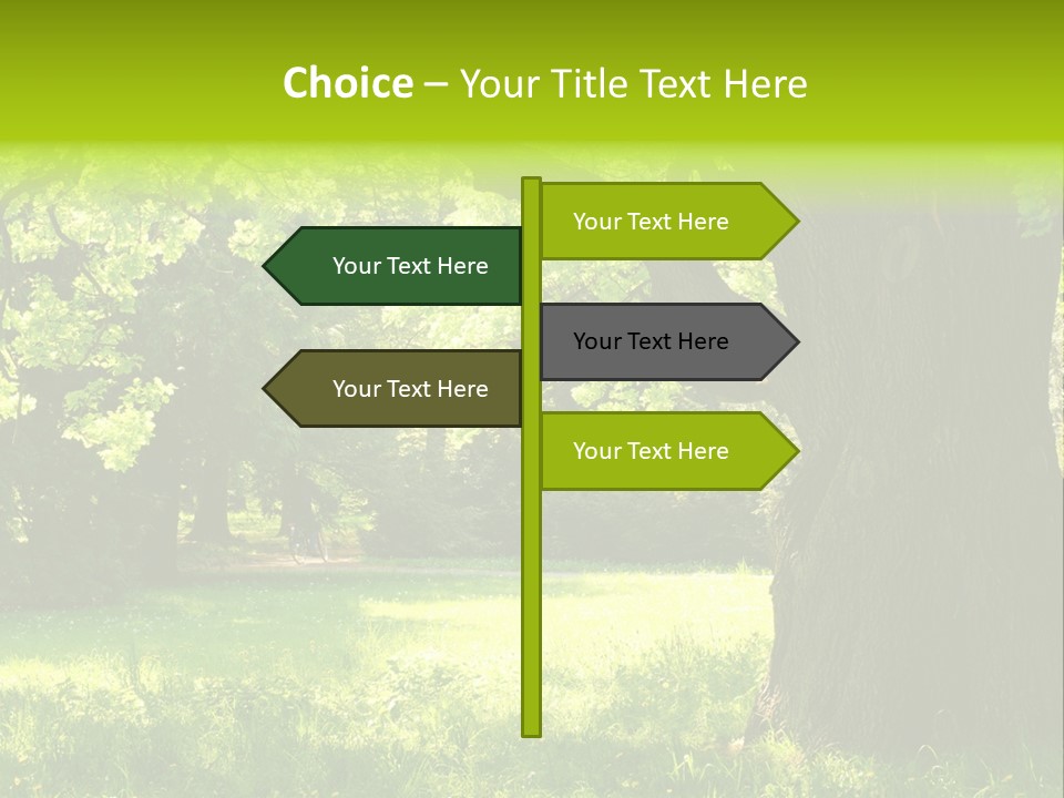 Summer Tree Bark PowerPoint Template