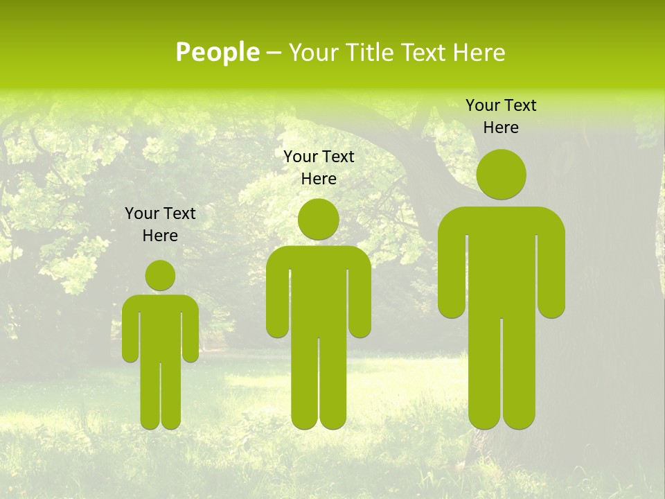 Summer Tree Bark PowerPoint Template