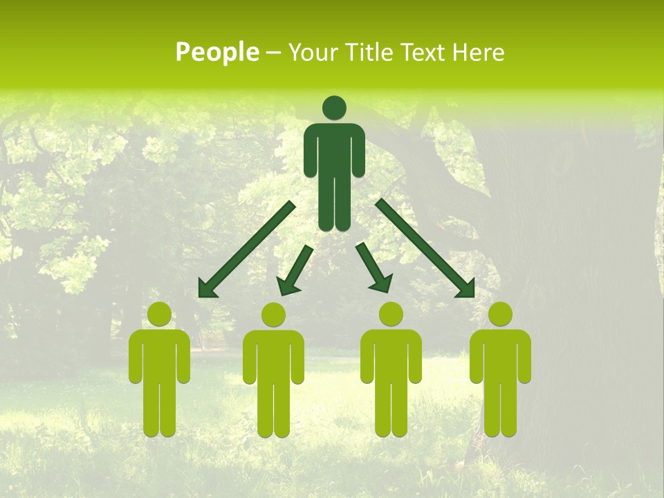 Summer Tree Bark PowerPoint Template