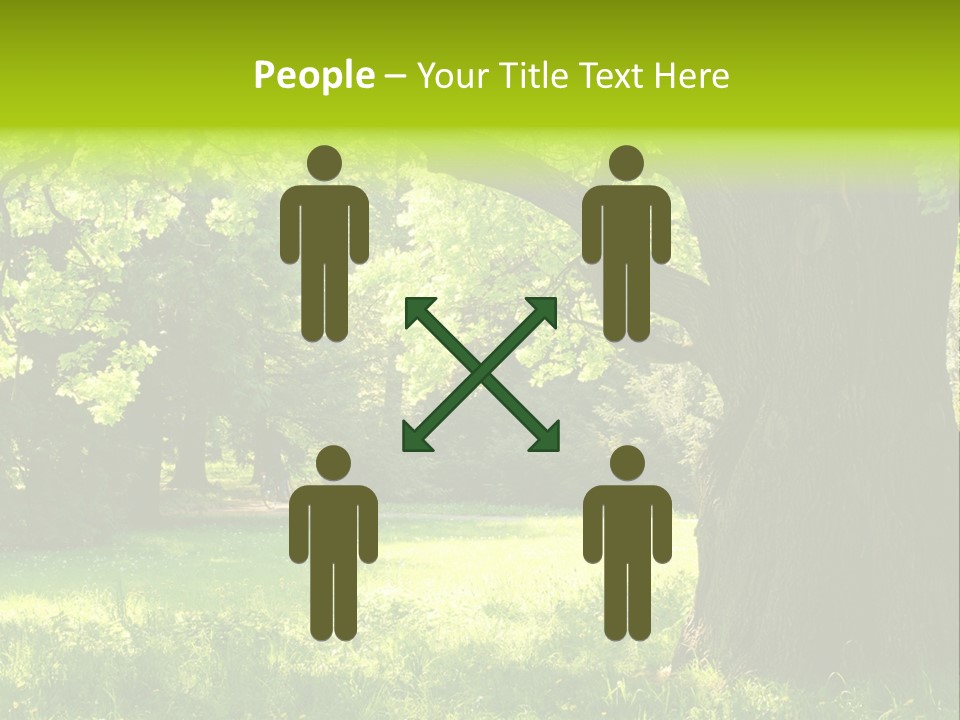 Summer Tree Bark PowerPoint Template