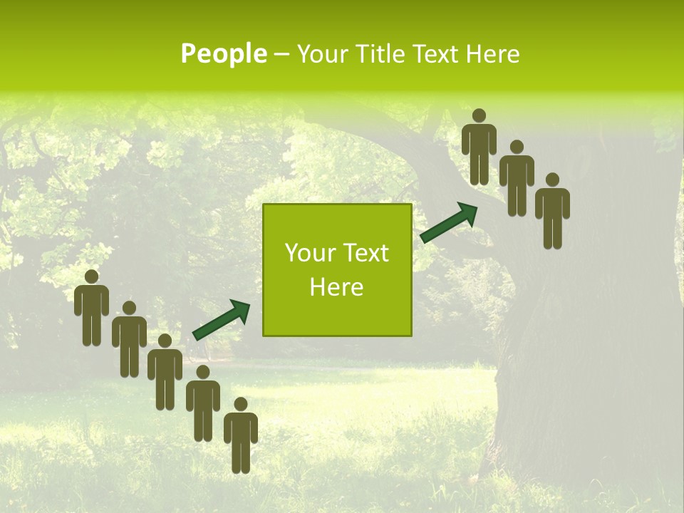 Summer Tree Bark PowerPoint Template