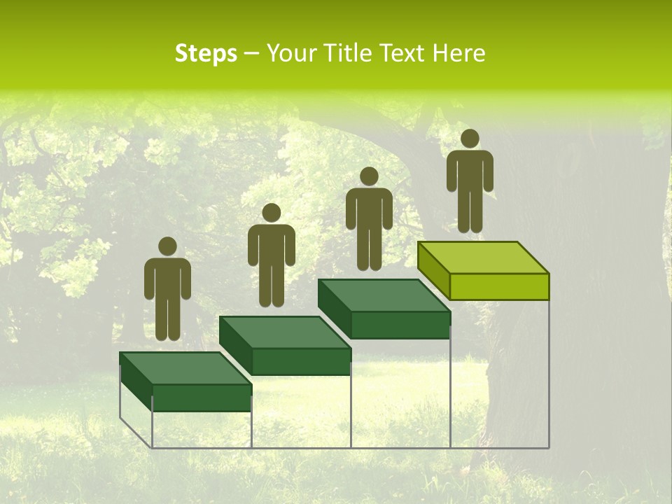 Summer Tree Bark PowerPoint Template