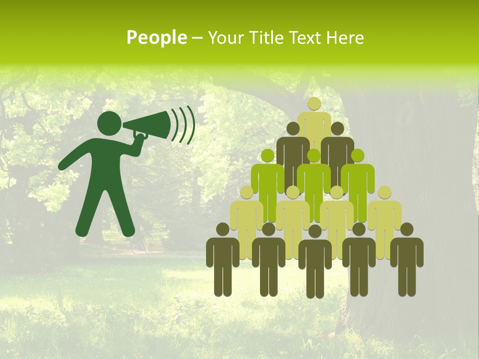 Summer Tree Bark PowerPoint Template