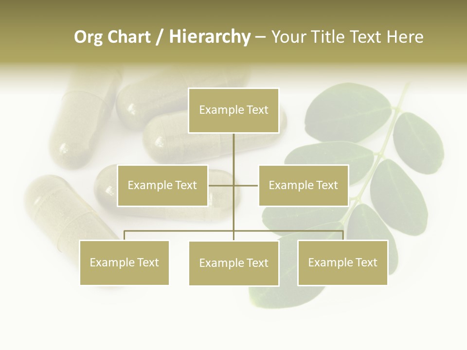 Background Natural Nature PowerPoint Template
