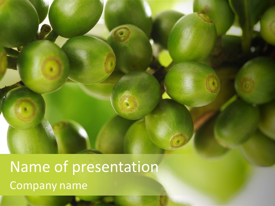 Fruits Tropical Bush PowerPoint Template