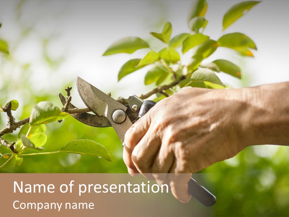 Pruning Hobby Working PowerPoint Template