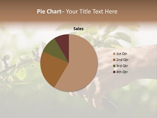 Pruning Hobby Working PowerPoint Template