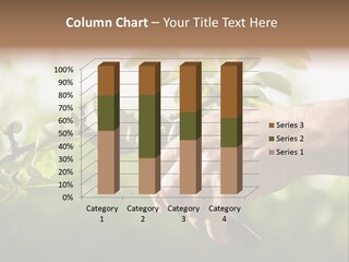 Pruning Hobby Working PowerPoint Template