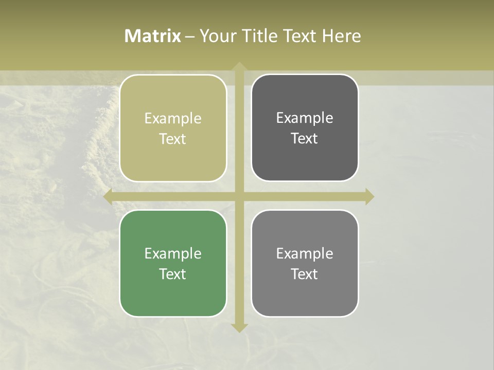 Sea Waste Decay PowerPoint Template