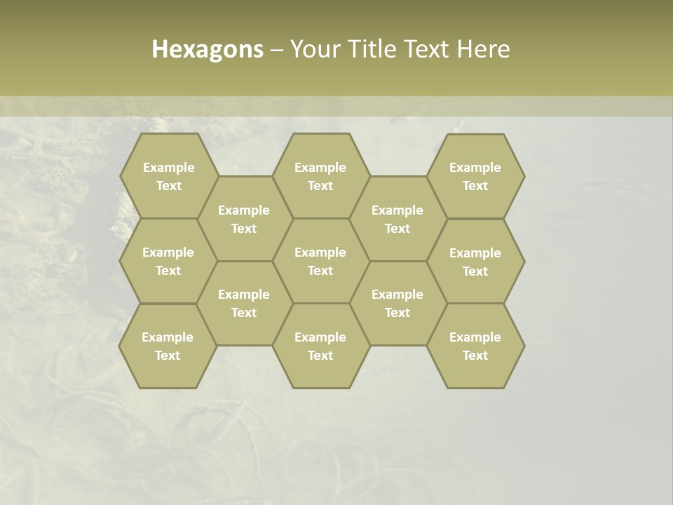 Sea Waste Decay PowerPoint Template