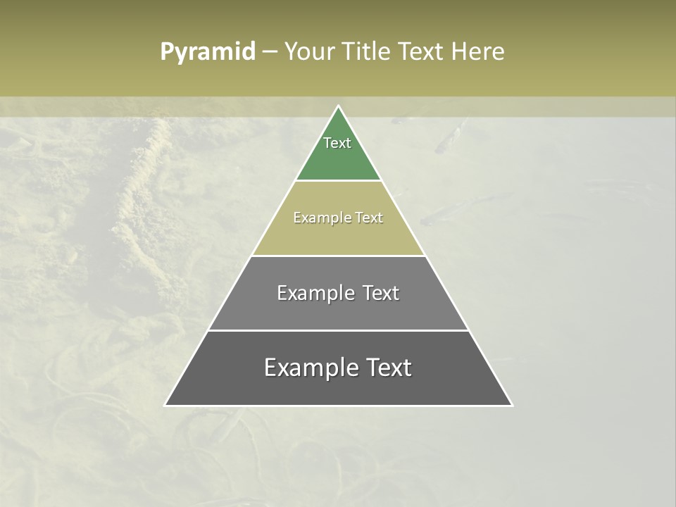Sea Waste Decay PowerPoint Template