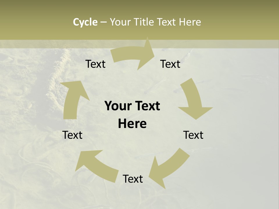 Sea Waste Decay PowerPoint Template