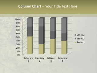 Sea Waste Decay PowerPoint Template