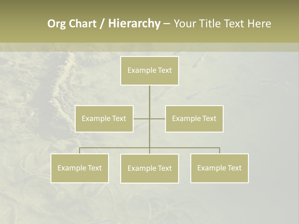 Sea Waste Decay PowerPoint Template