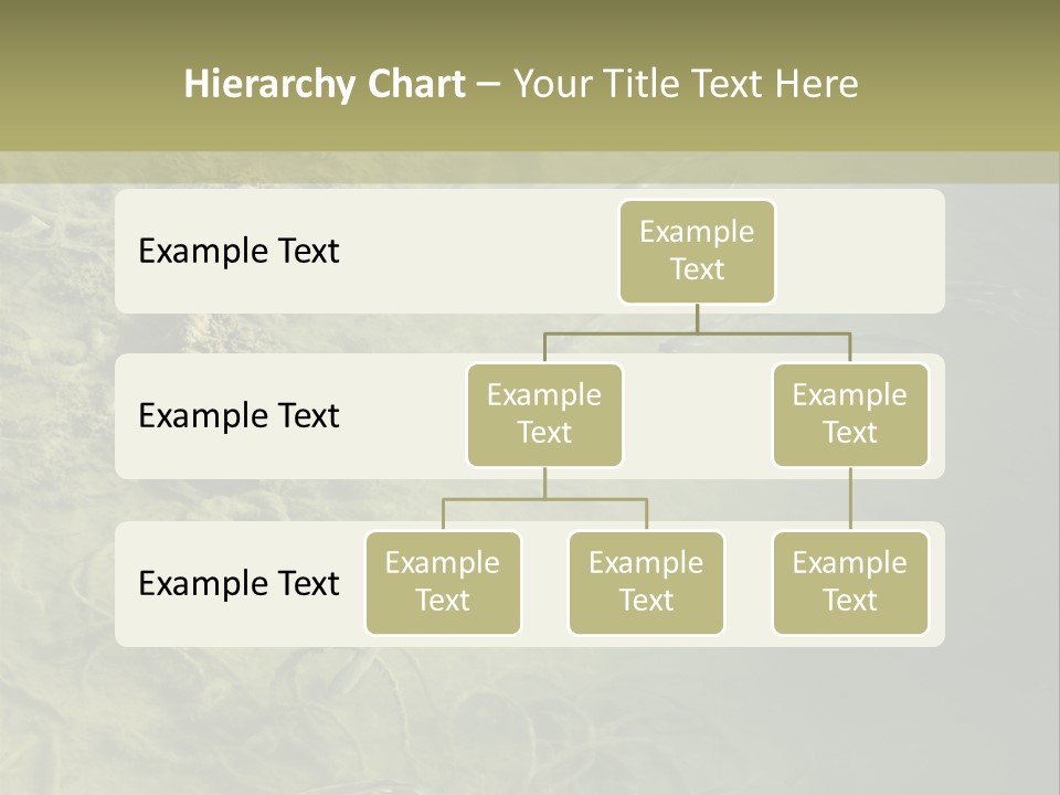 Sea Waste Decay PowerPoint Template