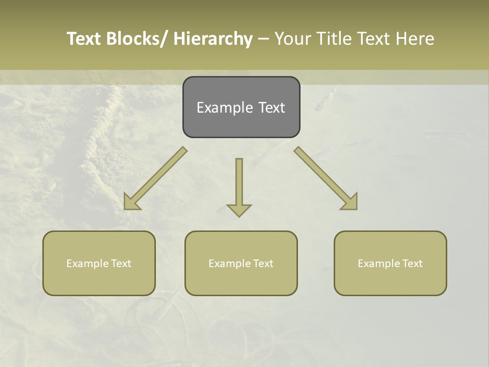 Sea Waste Decay PowerPoint Template