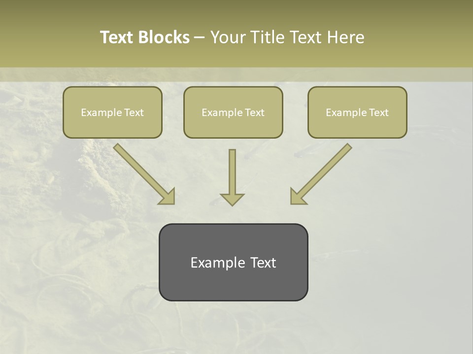Sea Waste Decay PowerPoint Template