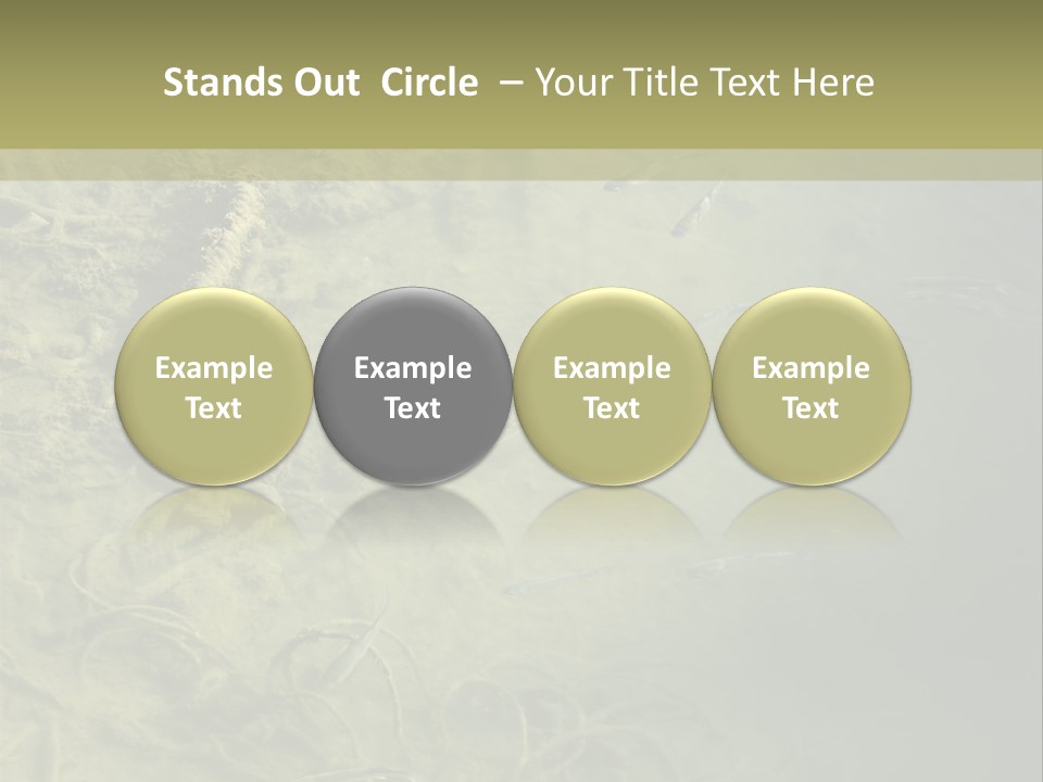 Sea Waste Decay PowerPoint Template