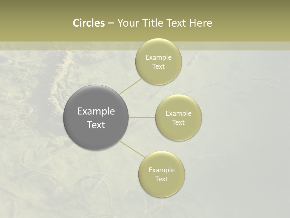 Sea Waste Decay PowerPoint Template