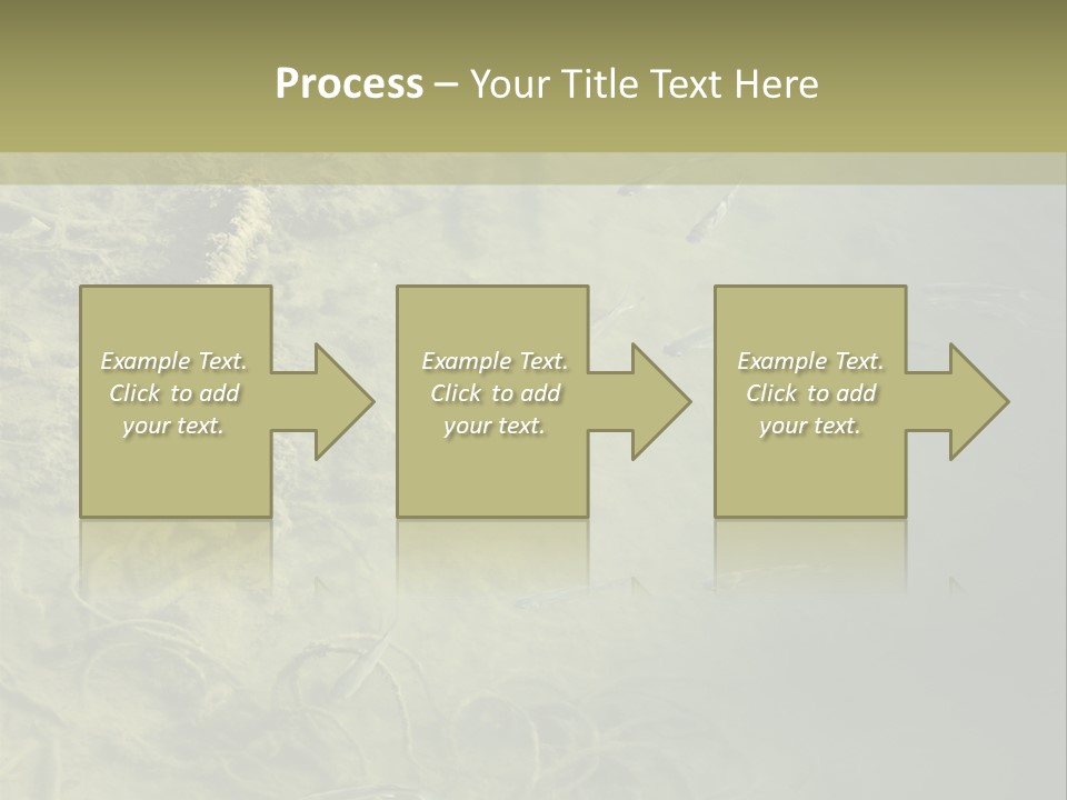 Sea Waste Decay PowerPoint Template