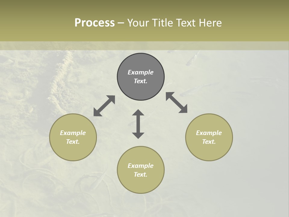 Sea Waste Decay PowerPoint Template