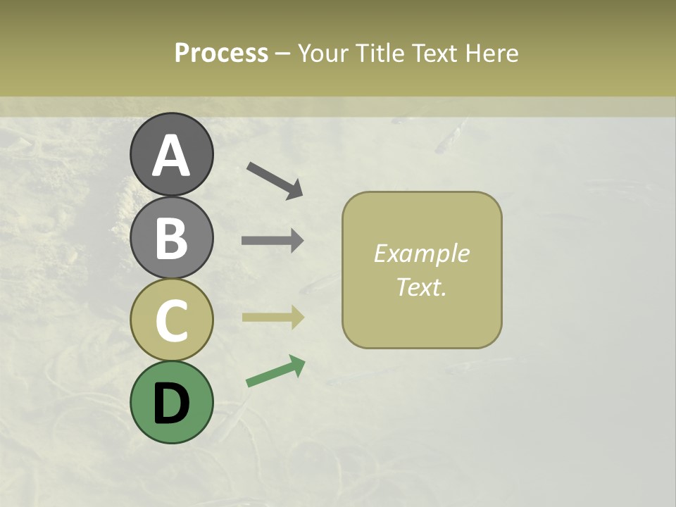 Sea Waste Decay PowerPoint Template