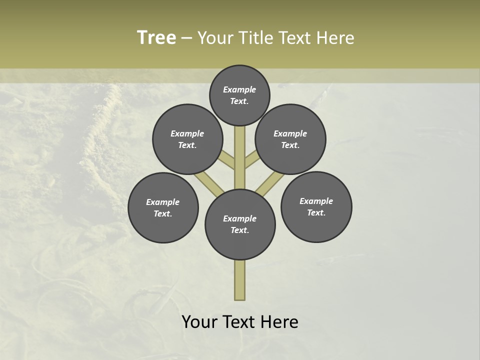 Sea Waste Decay PowerPoint Template