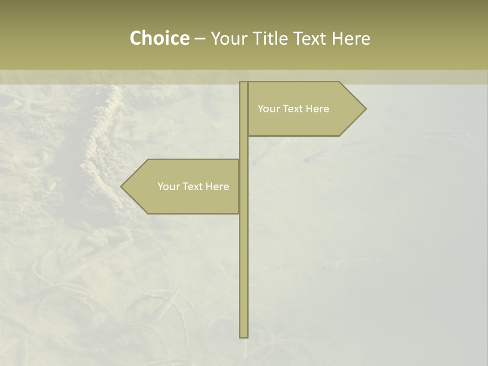 Sea Waste Decay PowerPoint Template
