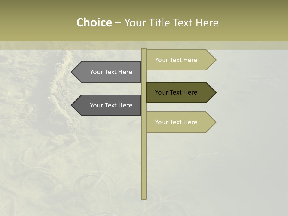 Sea Waste Decay PowerPoint Template
