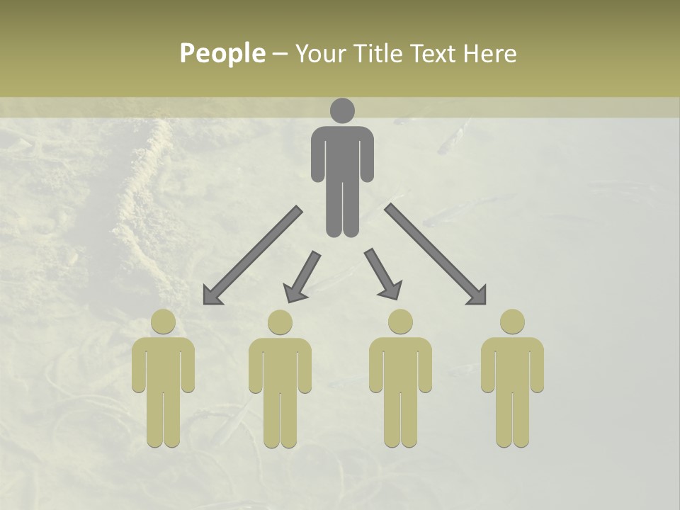 Sea Waste Decay PowerPoint Template