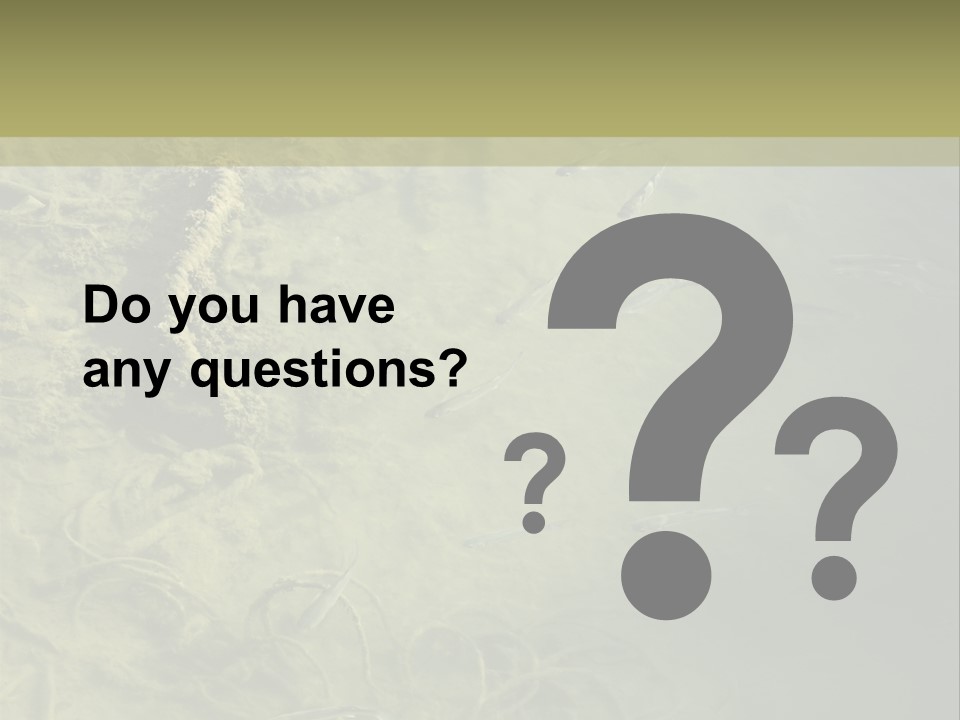 Sea Waste Decay PowerPoint Template