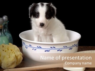 Purebred Brush Copy Space PowerPoint Template