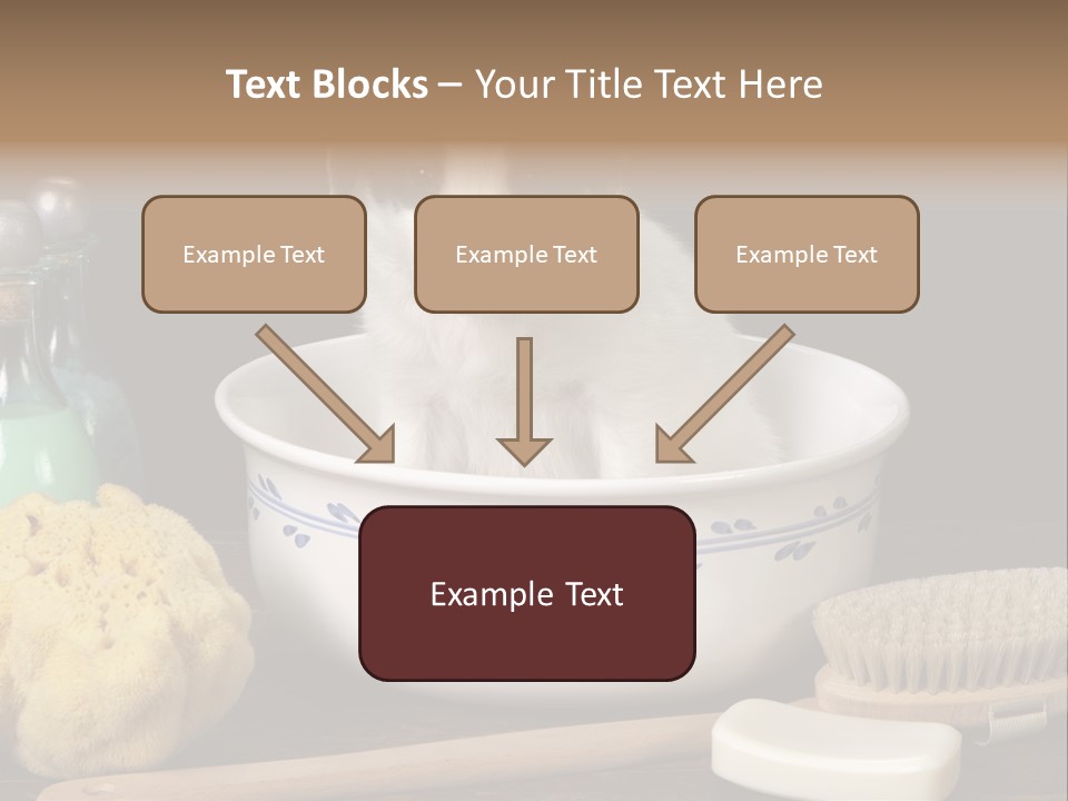 Purebred Brush Copy Space PowerPoint Template