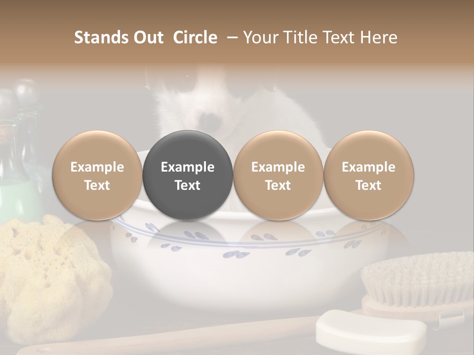 Purebred Brush Copy Space PowerPoint Template