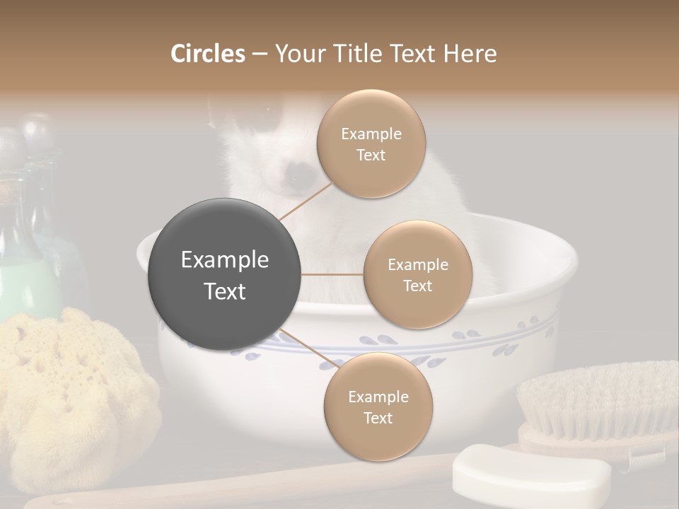 Purebred Brush Copy Space PowerPoint Template