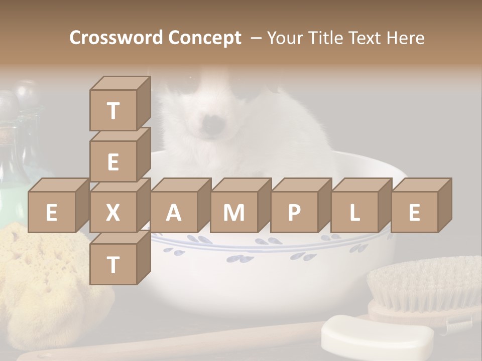 Purebred Brush Copy Space PowerPoint Template