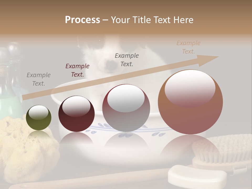 Purebred Brush Copy Space PowerPoint Template