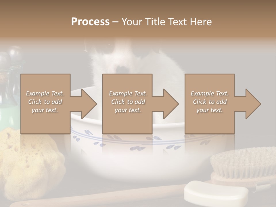 Purebred Brush Copy Space PowerPoint Template