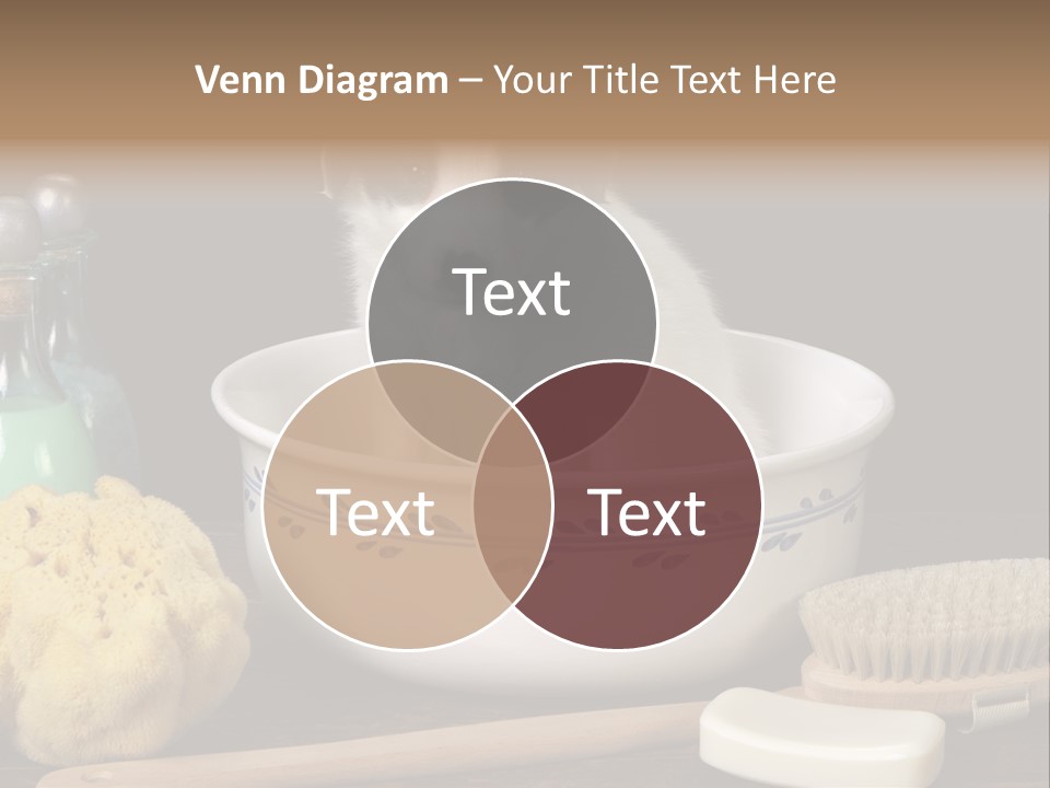 Purebred Brush Copy Space PowerPoint Template