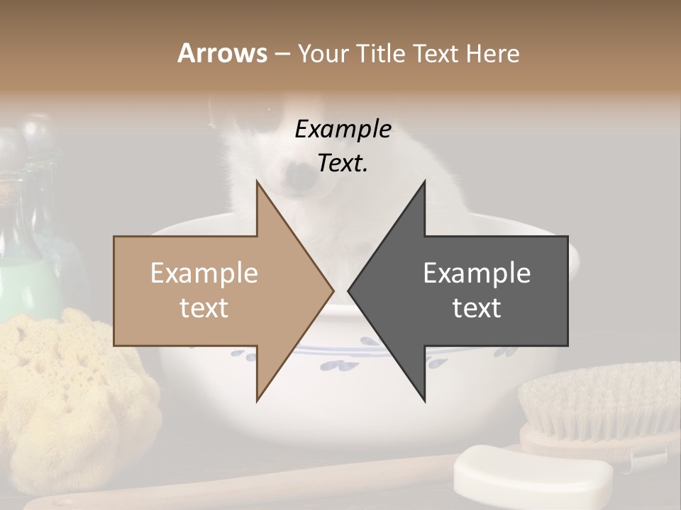 Purebred Brush Copy Space PowerPoint Template